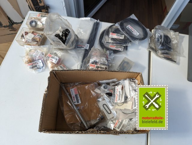 PXL_20240528_153829476